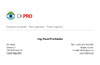 CK PRO corporate identity